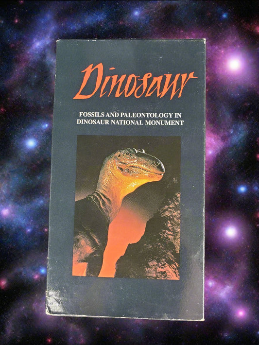 Dinosaur  Fossils  And Paleontology In Dinosaur  National Monument VHS